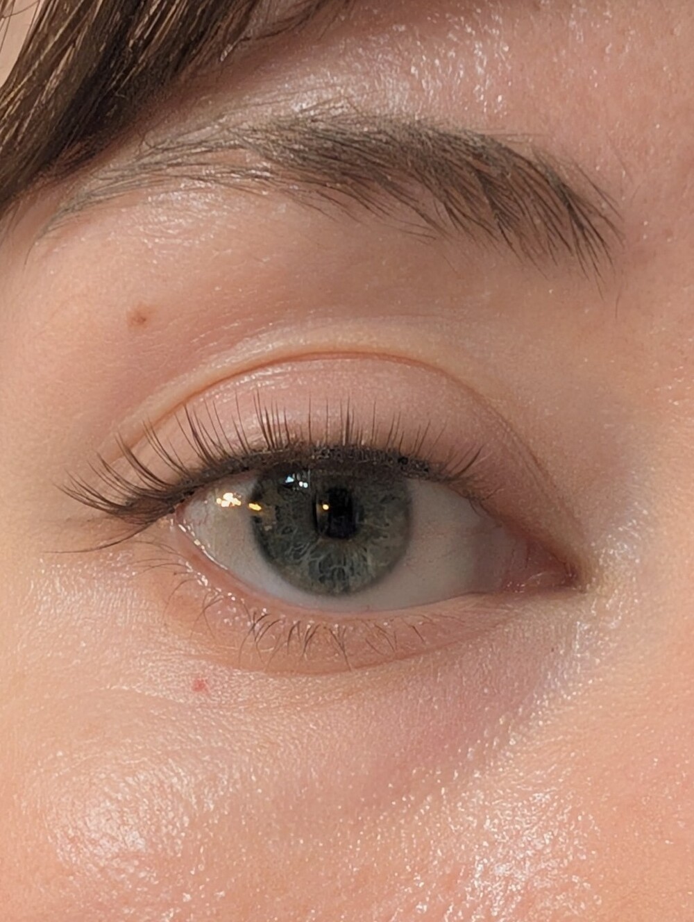Wosado Magnetic Lashes